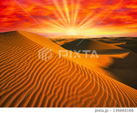 グランカナリアの大砂丘の絶景 136668166