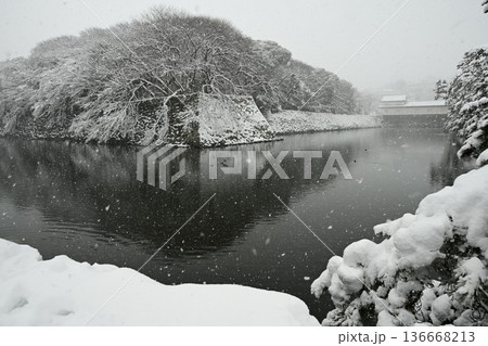 国宝　彦根城　厳冬の雪景色 136668213