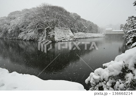 国宝 彦根城 厳冬の雪景色 国宝 彦根城 厳冬の雪景色 136668214