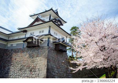 金沢 春の金沢城の菱櫓 金沢 春の金沢城の菱櫓 136668224