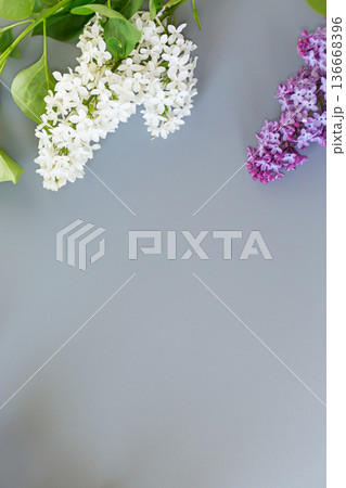 Purple lilac in a top view with empty space Purple lilac in a top view with empty space 136668396
