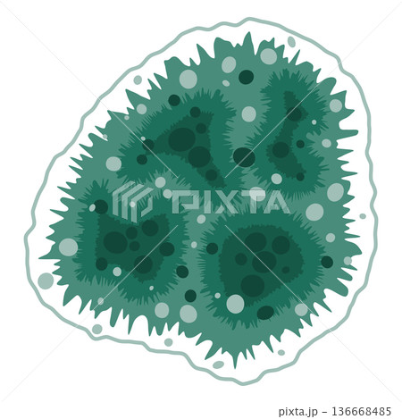 Green mold fungus growth illustration Green mold fungus growth illustration 136668485