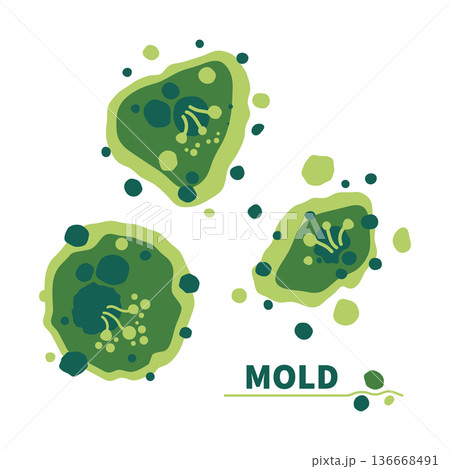 Green fungus spores growth vector illustration set 136668491