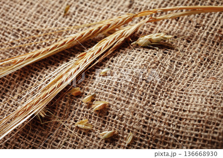 Wheat stalks and grains on burlap fabric placed in a rustic setting Wheat stalks and grains on burlap fabric placed in a rustic setting 136668930