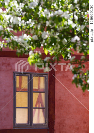 Wall detail of houses in Helsingoer in spring 2015 136669150
