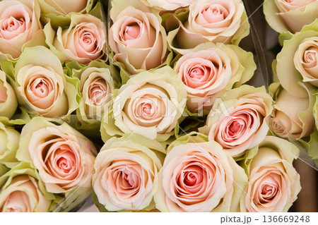 Flower market in Helsingoer 2015 Flower market in Helsingoer 2015 136669248