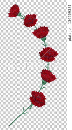 [Carnation curve line] Hand embroidery illustration material 136669381