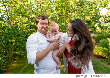 Parents hold curious baby among apple trees in garden Parents hold curious baby among apple trees in garden 136669540