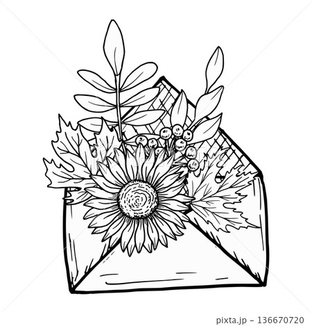 Autumn composition with an envelope, maple leaf, sunflower, and rowan berries. Vector botanical illustration. Hand-drawn in black ink. Outline drawing for a greeting card, invitation, or Thanksgiving. 136670720