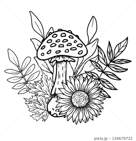 Composition of fly agarics with sunflowers, rowan berries, maple leaves. Botanical vector illustration. Hand drawn in black ink. Outline drawing of the mushroom and berries for seasonal celebrations. 136670722