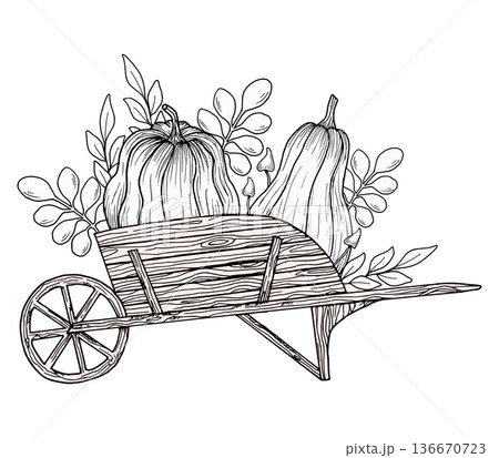Wooden cart with pumpkins, leaves, mushrooms. Hand drawn vector graphics. Black graphic drawing of a rustic vegetable cart. Sketch outline illustration for Thanksgiving, harvest and autumn designs. Wooden cart with pumpkins, leaves, mushrooms. Hand drawn vector graphics. Black graphic drawing of a rustic vegetable cart. Sketch outline illustration for Thanksgiving, harvest and autumn designs. 136670723