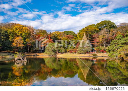東京都文京区 秋晴れの六義園 136670923