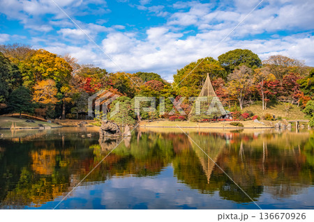東京都文京区 秋晴れの六義園 136670926
