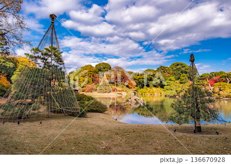 東京都文京区 秋晴れの六義園 東京都文京区 秋晴れの六義園 136670928