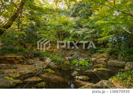 東京都文京区 秋の六義園 滝見茶屋から望む「枕流洞」と渓流の風景 東京都文京区 秋の六義園 滝見茶屋から望む「枕流洞」と渓流の風景 136670930