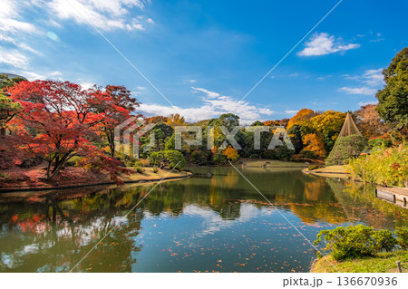 東京都文京区 秋晴れの六義園 136670936