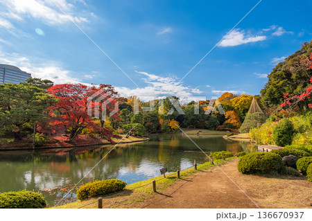 東京都文京区 秋晴れの六義園 東京都文京区 秋晴れの六義園 136670937