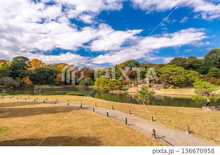 東京都文京区 秋晴れの六義園 136670958