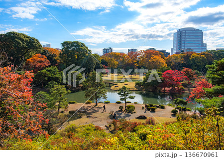 東京都文京区 秋晴れの六義園 藤代峠から見下ろす庭園全景と大泉水 東京都文京区 秋晴れの六義園 藤代峠から見下ろす庭園全景と大泉水 136670961