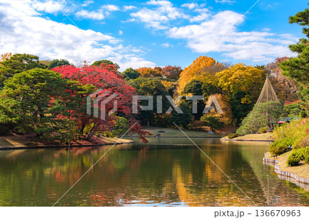 東京都文京区 秋晴れの六義園 東京都文京区 秋晴れの六義園 136670963