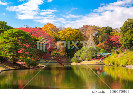 東京都文京区 秋晴れの六義園 東京都文京区 秋晴れの六義園 136670965