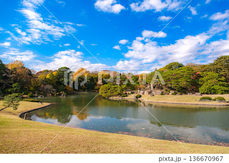 東京都文京区 秋晴れの六義園 東京都文京区 秋晴れの六義園 136670967