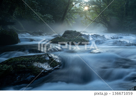 光さす渓谷 136671059