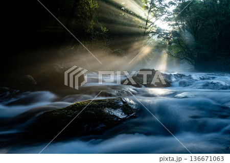 光さす渓谷 光さす渓谷 136671063