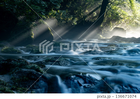 光さす渓谷 136671074