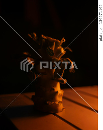 ブロッコリーの茎 ブロッコリーの茎 136671166