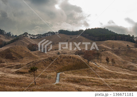 砥峰高原の風景 136671181