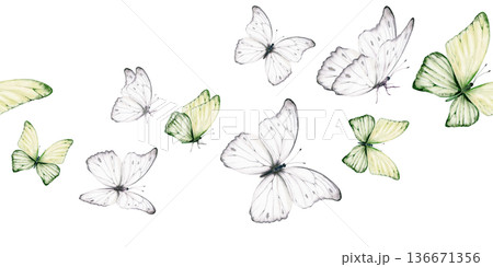 White and green butterflies in seamless border with delicate shimmering pattern,inspired by the Morpho godartii Bolivia.Symbolizing departed souls,purity,innocence,for memorial designs,spiritual theme White and green butterflies in seamless border with delicate shimmering pattern,inspired by the Morpho godartii Bolivia.Symbolizing departed souls,purity,innocence,for memorial designs,spiritual theme 136671356