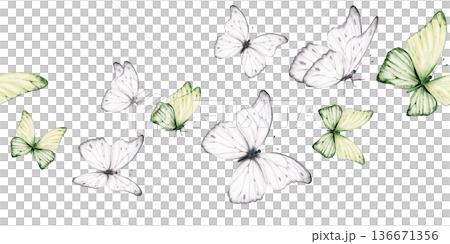White and green butterflies in seamless border with delicate shimmering pattern,inspired by the Morpho godartii Bolivia.Symbolizing departed souls,purity,innocence,for memorial designs,spiritual theme White and green butterflies in seamless border with delicate shimmering pattern,inspired by the Morpho godartii Bolivia.Symbolizing departed souls,purity,innocence,for memorial designs,spiritual theme 136671356