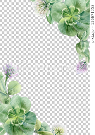 Clover leaves trefoil and four leaves,with lilac and white flowers in elegant corner frame.Watercolor template,symbolizing luck and new beginnings,for wedding invitations,romantic celebrations 136671358