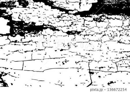 Grunge Cracked Wood Texture Black and White 136672254