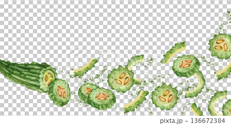 A watercolor banner featuring illustrations of bitter melon, a traditional Asian food. A hand-painted watercolor illustration of bitter gourd for a healthy nutrition design. A watercolor banner featuring illustrations of bitter melon, a traditional Asian food. A hand-painted watercolor illustration of bitter gourd for a healthy nutrition design. 136672384