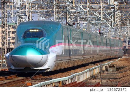 東北新幹線E5系（10両編成） 136672572