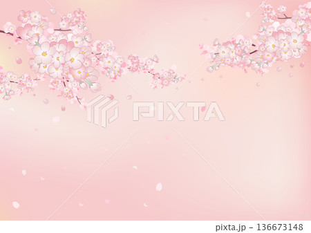 桜の花びらが舞散る桜の背景 ピンク 桜の花びらが舞散る桜の背景 ピンク 136673148