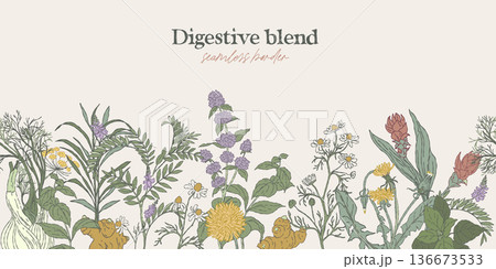 Digestive Herbal Blend Seamless Border Digestive Herbal Blend Seamless Border 136673533