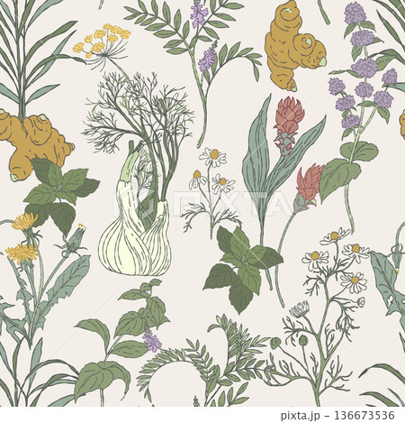 Digestive Herbal Blend Seamless Pattern Digestive Herbal Blend Seamless Pattern 136673536