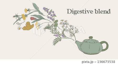 Digestive Herbal Blend with Teapot Illustration 136673538