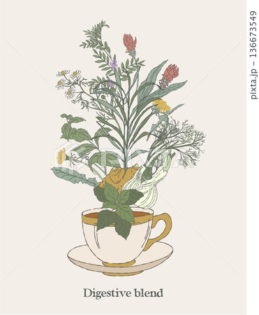 Digestive Herbal Blend Tea Cup Illustration 136673549