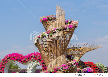 Agriculture, Color Image, Community Garden, Cultivated, Environment 136673572