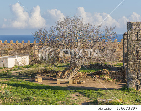 Coastal Sentinel: The Ancient Strategic Fortress of Kelibia 136673897