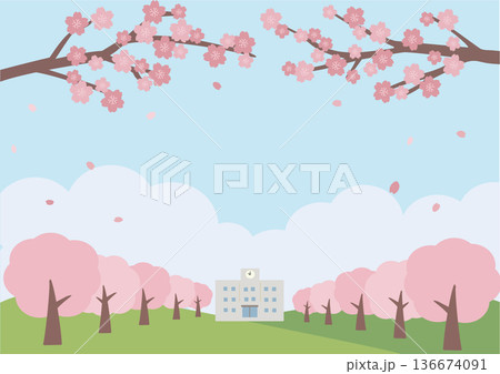 春の背景イラスト　桜の背景　バナー　ロゴ 136674091