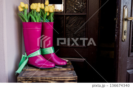 Yellow tulips in pink rubber boots Yellow tulips in pink rubber boots 136674340
