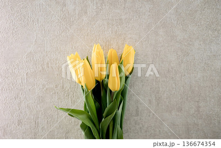 bouquet of yellow tulips on a neutral background bouquet of yellow tulips on a neutral background 136674354