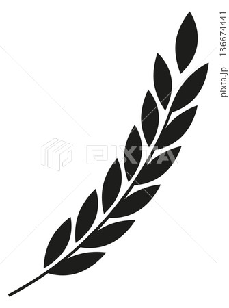 Spikelet black symbol. Organic farm agriculture icon 136674441