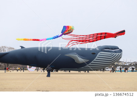 上州空っ風凧揚げ大会 上州空っ風凧揚げ大会 136674512