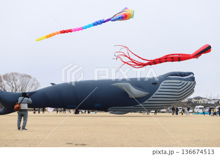 上州空っ風凧揚げ大会 上州空っ風凧揚げ大会 136674513